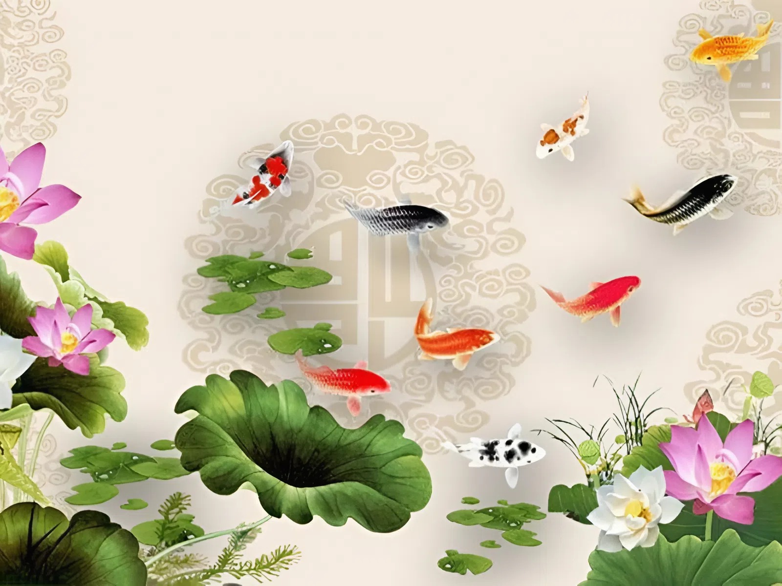 y-nghia-tranh-ca-chep-hoa-sen