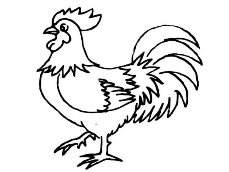 Lợi ích khi cho bé tập tô màu mỗi ngày