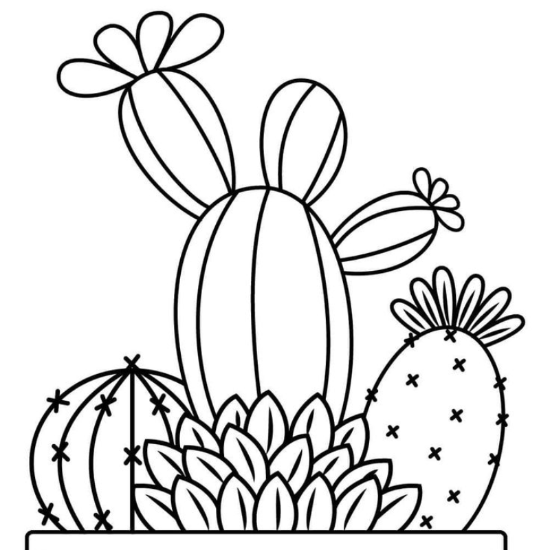 99+ Mẫu Tranh Tô Màu Cây Xương Rồng Đẹp, Dễ Thương Cho Bé 17 6 11