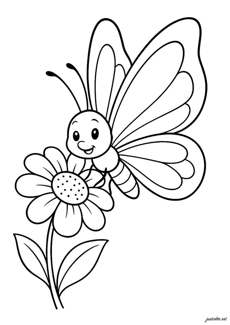 200+ Mẫu tranh tô màu con bướm dễ thương cho bé 12 coloring pages for children butterflies 81905