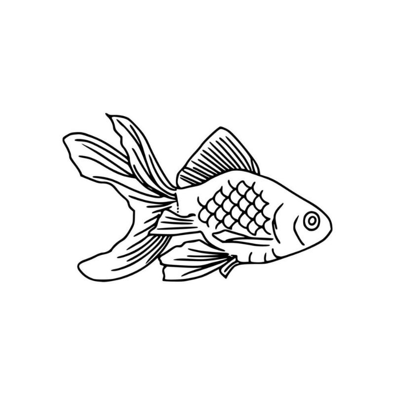 99+ Tranh tô màu con cá – Giúp bé sáng tạo & học hỏi 7 Tranh tô màu con cá vàng 6