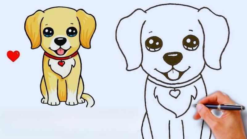 Hướng dẫn tô màu con chó