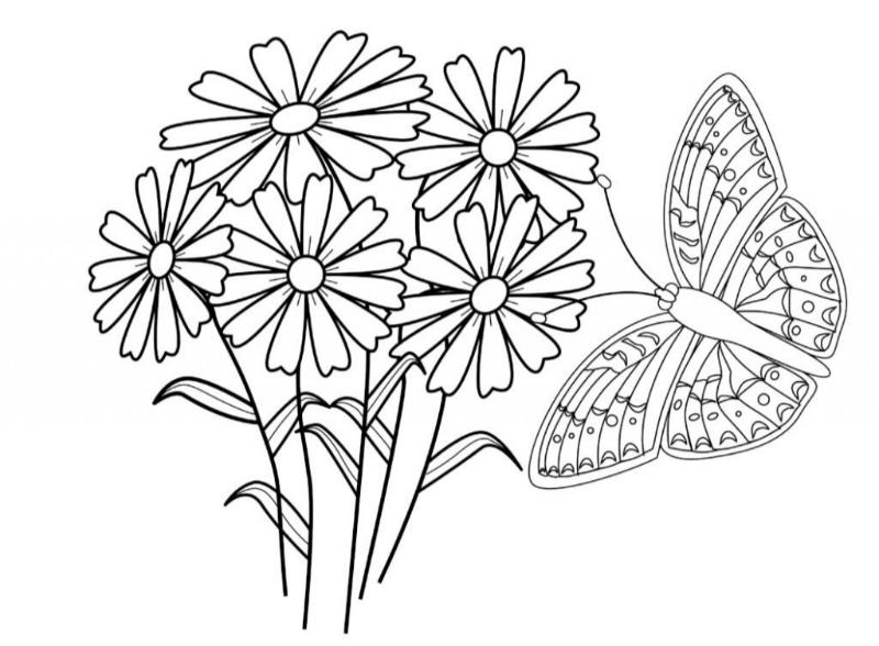 200+ Mẫu tranh tô màu con bướm dễ thương cho bé 8 Tranh tô màu con bướm kết hợp Hoa
