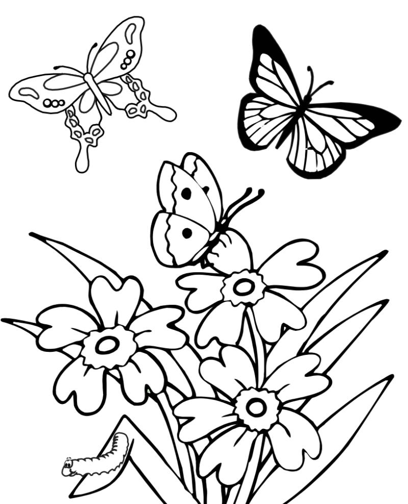200+ Mẫu tranh tô màu con bướm dễ thương cho bé 9 Tranh tô màu con Bướm với thiên nhiên