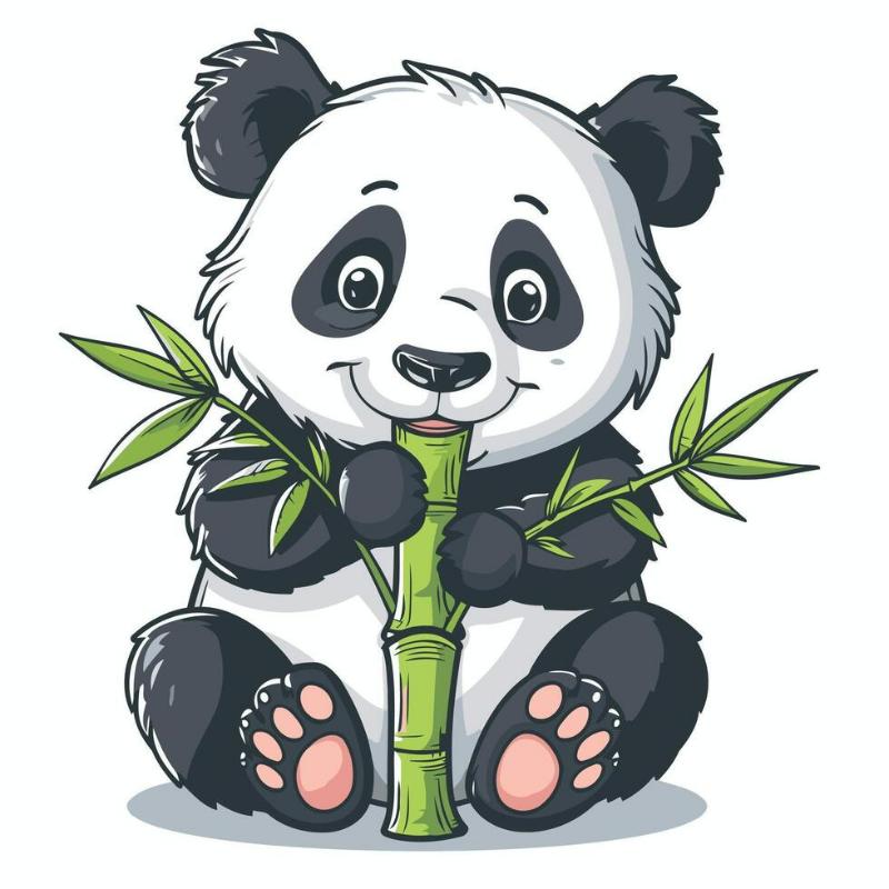 Tranh tô màu gấu trúc