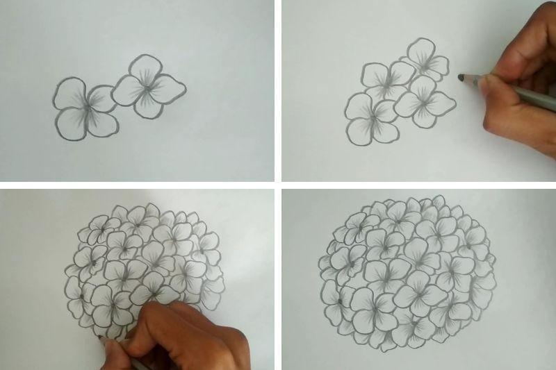 Vẽ cánh hoa và nhụy hoa