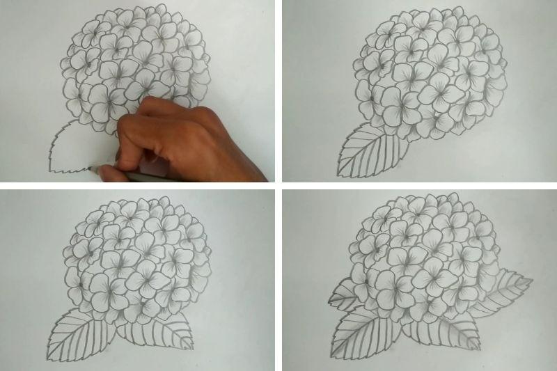 Vẽ đường nét cong tròn đan xen nhau