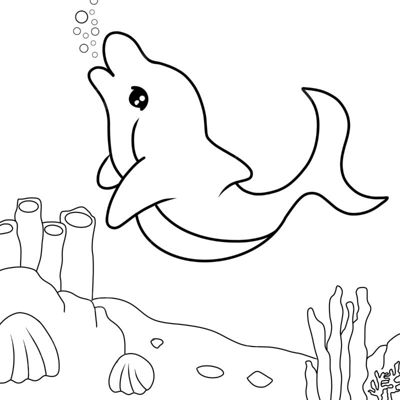 tranh cá heo dễ thương cá heo tung tăng dưới đáy biển với san hô và bong bóng