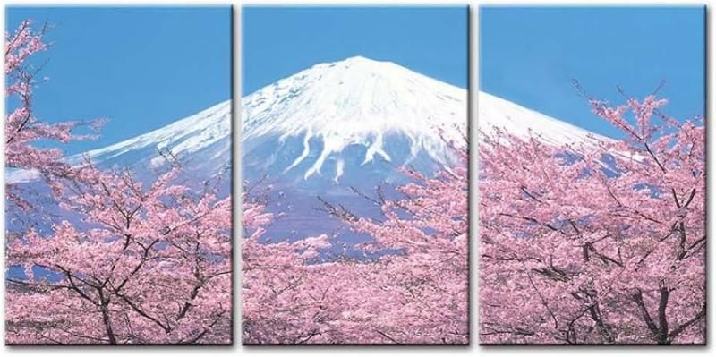 Tranh phong cảnh Núi Phú Sĩ: Ý nghĩa Phong Thủy & Tài Lộc 2 Vẻ đẹp hùng vĩ của Núi Phú Sĩ hòa quyện với sắc hồng tinh khôi của hoa anh đào