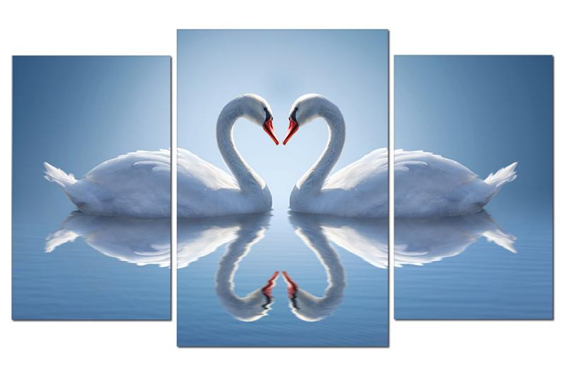 39+ Mẫu tranh thiên nga nghệ thuật đẹp, hợp phong thủy 2 Đôi thiên nga trắng muốt nhẹ nhàng tạo hình trái tim, biểu tượng vượt thời gian của tình yêu và sự gắn bó vĩnh cửu