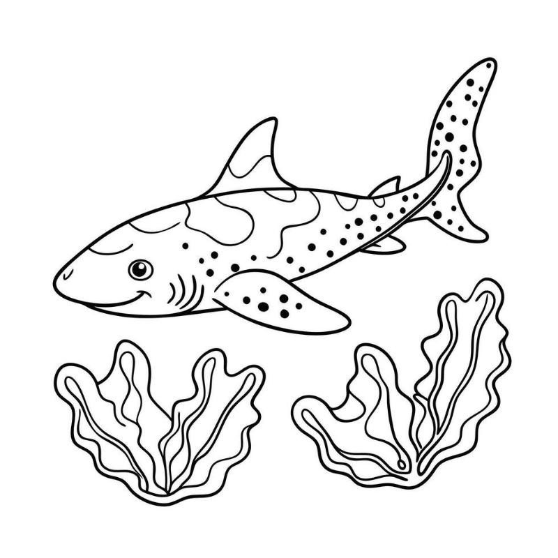 99+ Tranh tô màu con cá – Giúp bé sáng tạo & học hỏi 21 Tranh tô màu con cá mập 5