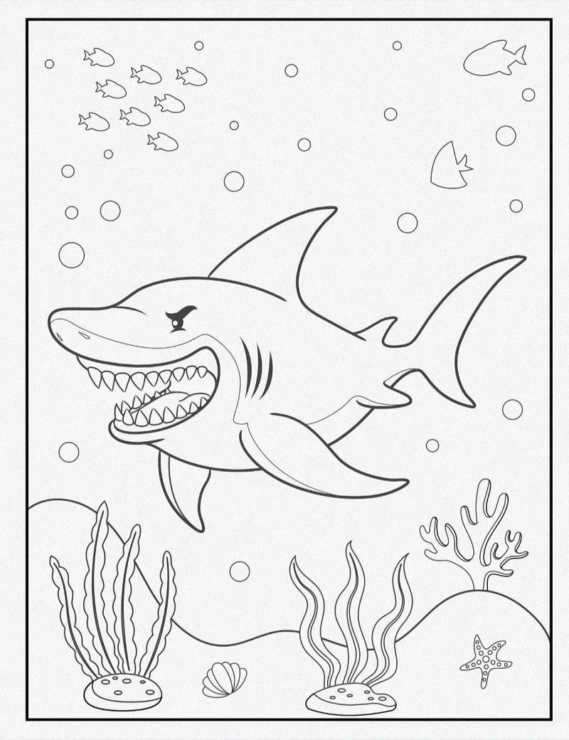 99+ Tranh tô màu con cá – Giúp bé sáng tạo & học hỏi 25 Tranh tô màu con cá mập 9