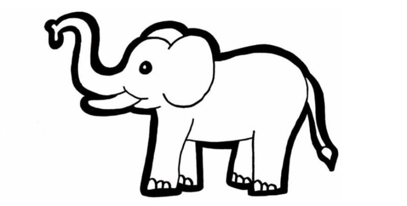 Tranh tô màu con voi đẹp dễ thương cho bé sáng tạo mỗi ngày 15 tranh to mau con voi 5 1