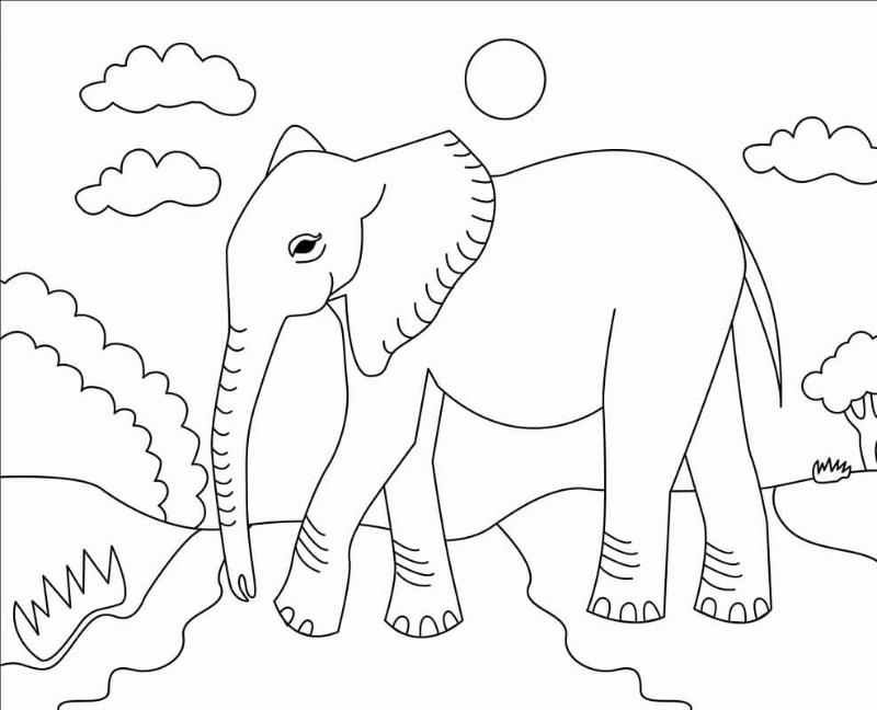 Tranh tô màu con voi đẹp dễ thương cho bé sáng tạo mỗi ngày 12 tranh to mau con voi va thien nhien