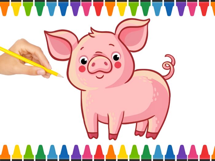 Thiet ke chua co ten 3 1 2