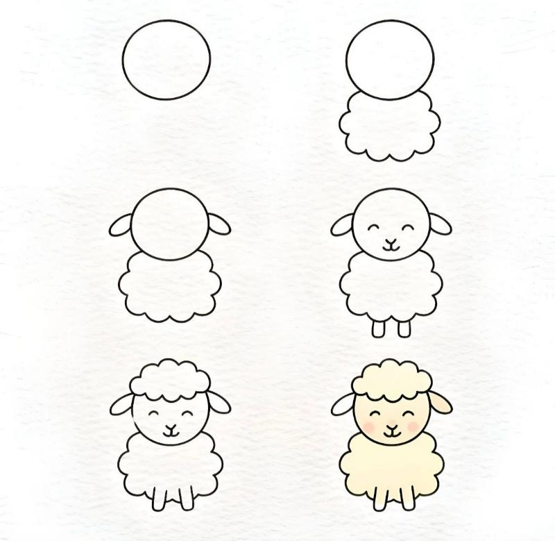 Vẽ con vật đơn giản: 30 mẫu dễ thương cho bé tập vẽ tại nhà 24 cach ve con cuu don gian