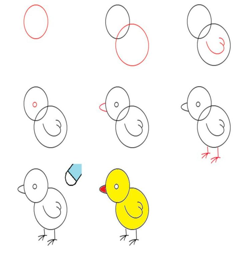 Vẽ con vật đơn giản: 30 mẫu dễ thương cho bé tập vẽ tại nhà 12 cach ve con ga don gian 5