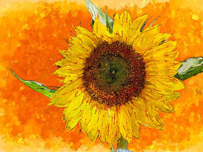 Tranh hoa hướng dương hợp người mệnh thổ, kim và hợp treo phòng khách
