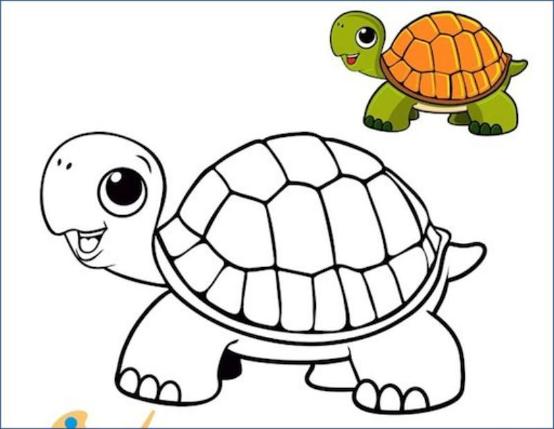 Tranh tô màu con rùa – Bộ tranh rùa đẹp và dễ in cho bé 3 Lợi ích tranh tô màu con rùa