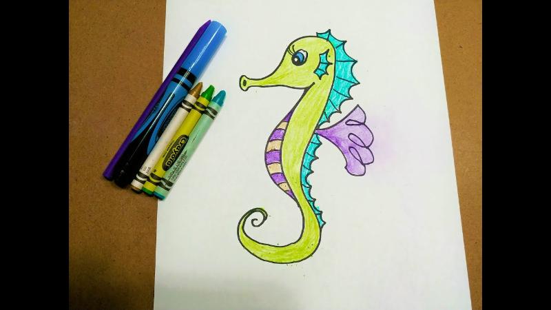 Tô màu con cá ngựa 1