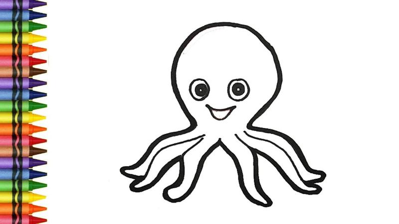 Tranh tô màu bạch tuộc – Giúp bé sáng tạo mỗi ngày 6 Tranh tô màu bạch tuộc cho bé 6 tuổi