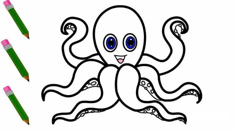 Tranh tô màu bạch tuộc – Giúp bé sáng tạo mỗi ngày 7 Tranh tô màu bạch tuộc hoạt hình