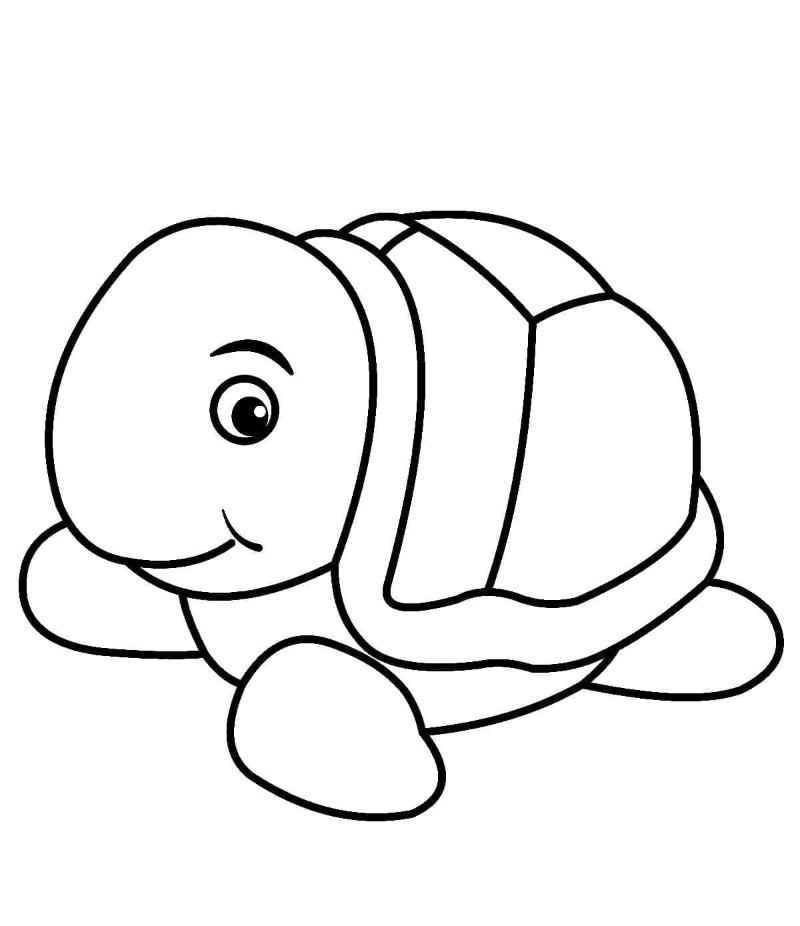 Tranh tô màu con rùa – Bộ tranh rùa đẹp và dễ in cho bé 6 Tranh tô màu rùa hoạt hình