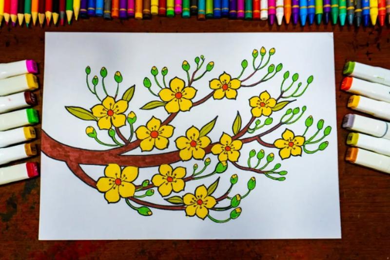 Tranh tô màu hoa mai đẹp ngày tết giúp bé phát triển sáng tạo 2 Tranh tô màu Hoa Mai