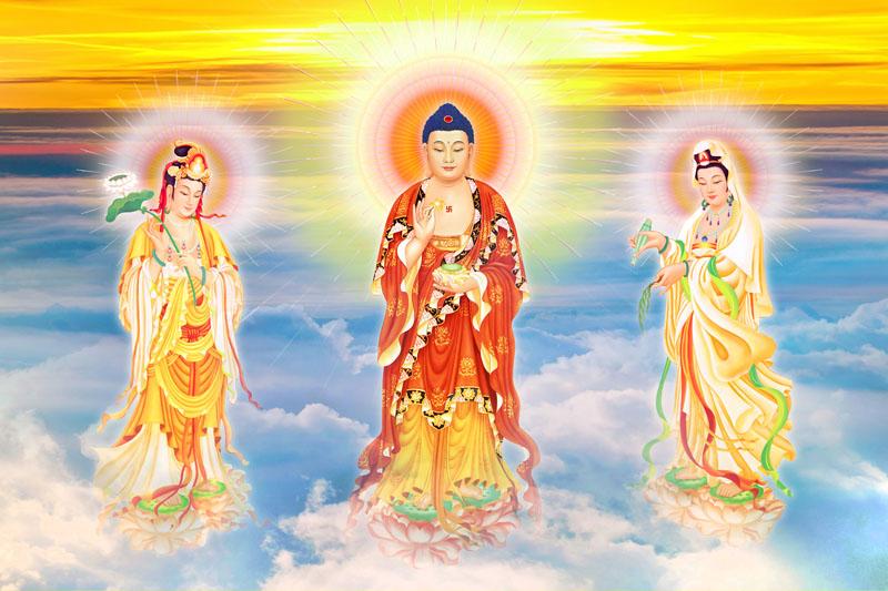 Tranh Tây Phương Tiếp Dẫn: Ý nghĩa, cách chọn và vị trí treo 12 Một mẫu tranh Phật giáo thể hiện Phật và Bồ Tát với thần thái thanh tịnh