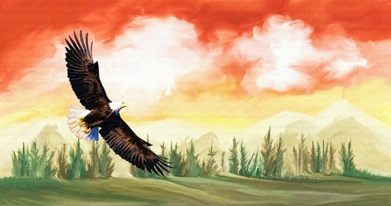 Đại bàng sải cánh trên nền trời hoàng hôn rực rỡ, biểu tượng cho khát vọng vươn xa
