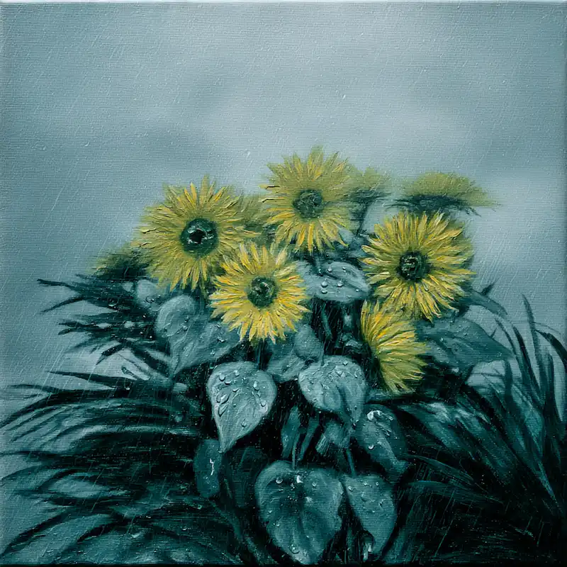 Tranh Hoa Hướng Dương nghệ thuật tông xanh lạnh đẫm sương dưới màn mưa bay