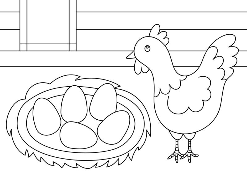 Tranh tô màu nông trại giúp bé khám phá thế giới thiên nhiên 9 Gà mái và ổ trứng – nơi bé học về nguồn gốc của trứng và sự sinh sản.