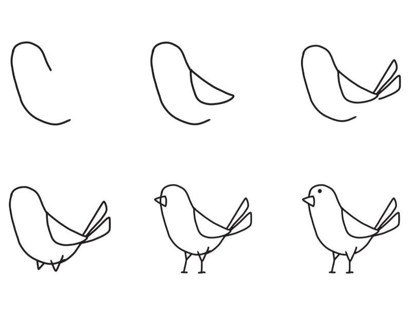 Vẽ con vật đơn giản: 30 mẫu dễ thương cho bé tập vẽ tại nhà 35 ve con chim don gian va dep