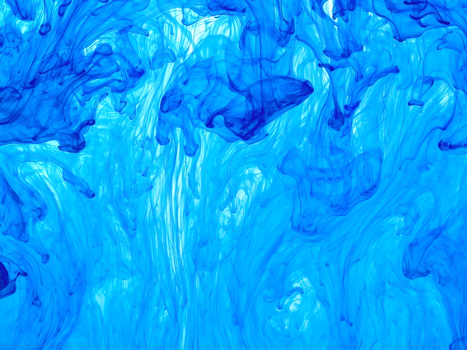 Thiet ke chua co ten 1 5