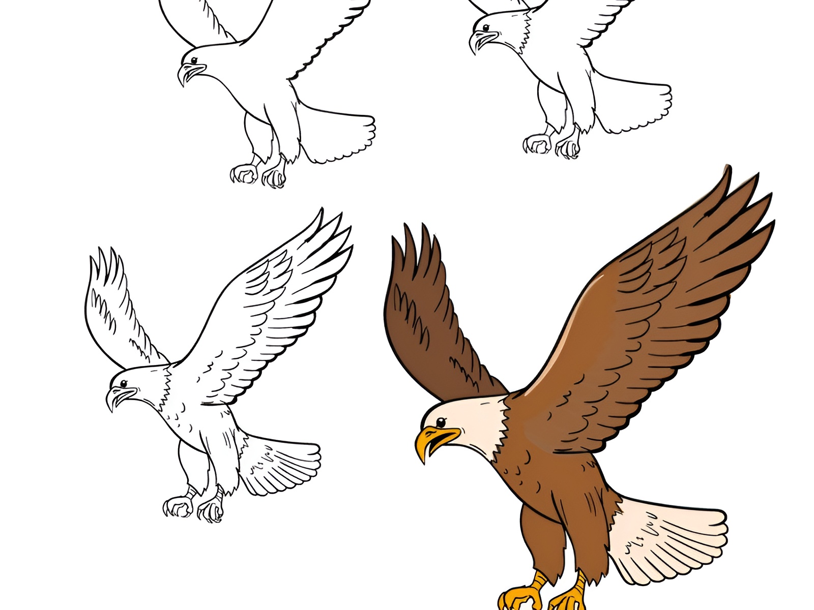 99+ Tranh tô màu chim đại bàng đẹp, dễ in, hợp mọi độ tuổi 1 Thiet ke chua co ten 3 1 1
