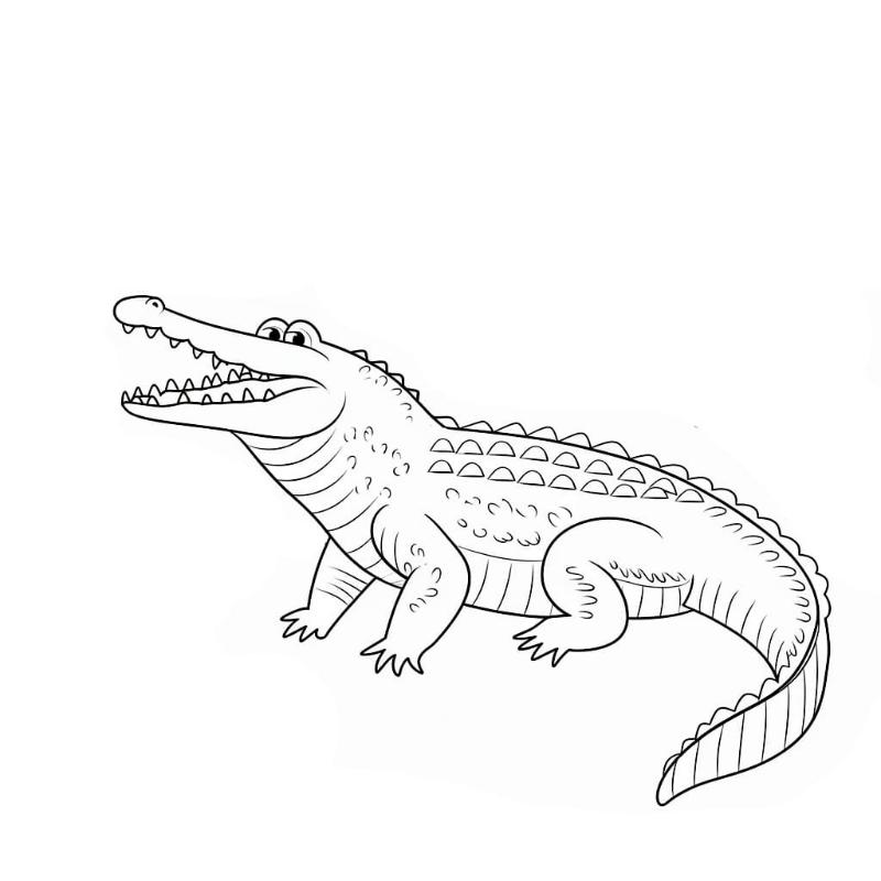 Tranh To Mau Ve Con Ca Sau