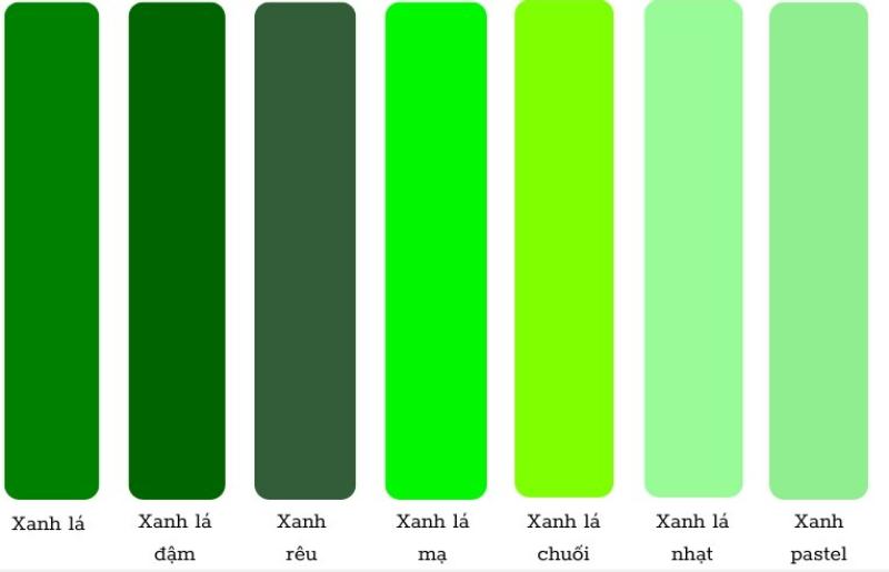 Các sắc độ đa dạng của màu xanh lá từ tông nhạt, pastel đến tông rêu và xanh đậm