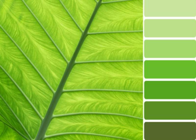 Sự mô phỏng các sắc độ xanh tự nhiên giúp truyền tải thông điệp về sự sống và tính hữu cơ trong thiết kế