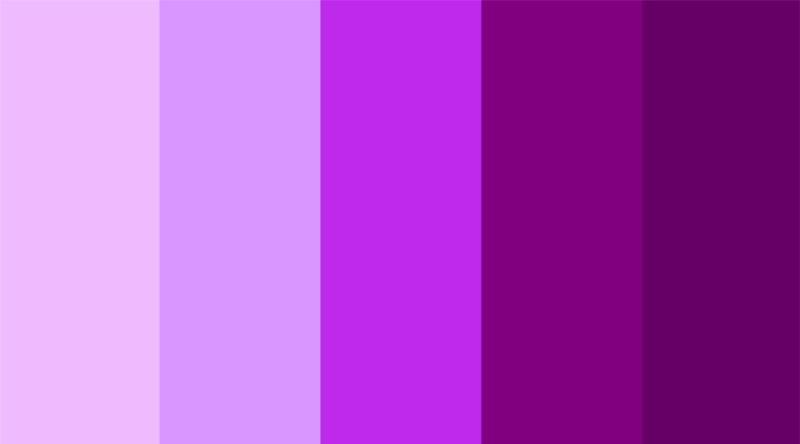 Sự biến đổi tinh tế của các sắc độ tím từ pastel nhẹ nhàng đến tím đậm bí ẩn.
