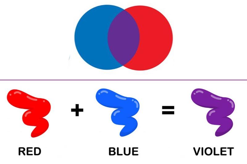 Nguyên tắc cơ bản: Kết hợp màu đỏ và xanh dương theo tỷ lệ 1:1 để tạo ra màu tím tiêu chuẩn.