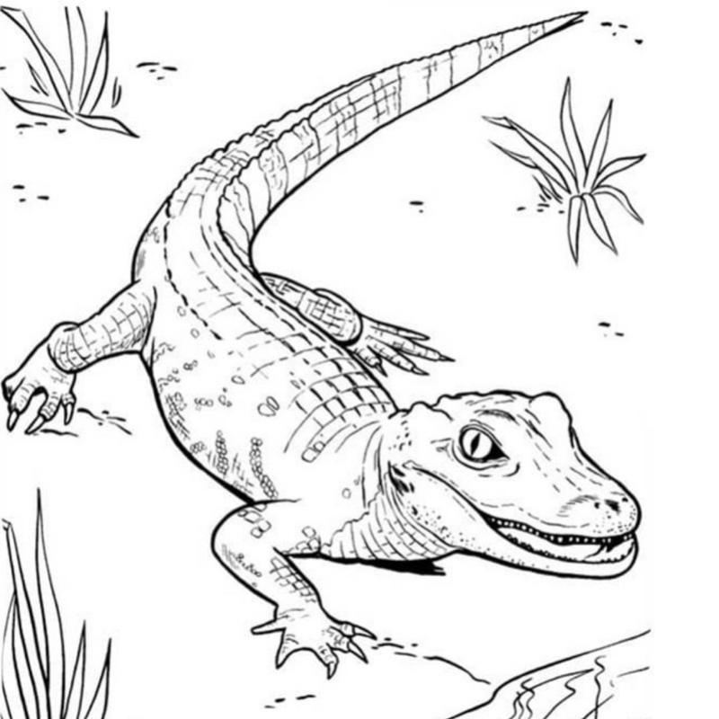 e90f4a929399ce76c7cfe1738b58ae9a