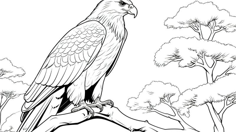 99+ Tranh tô màu chim đại bàng đẹp, dễ in, hợp mọi độ tuổi 3 Tranh tô màu chim đại bàng phát triển trí não cho bé