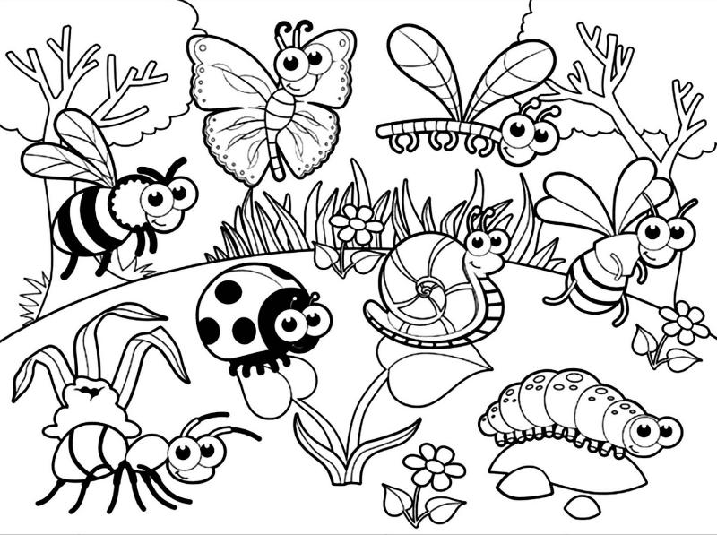 Tranh tô màu côn trùng