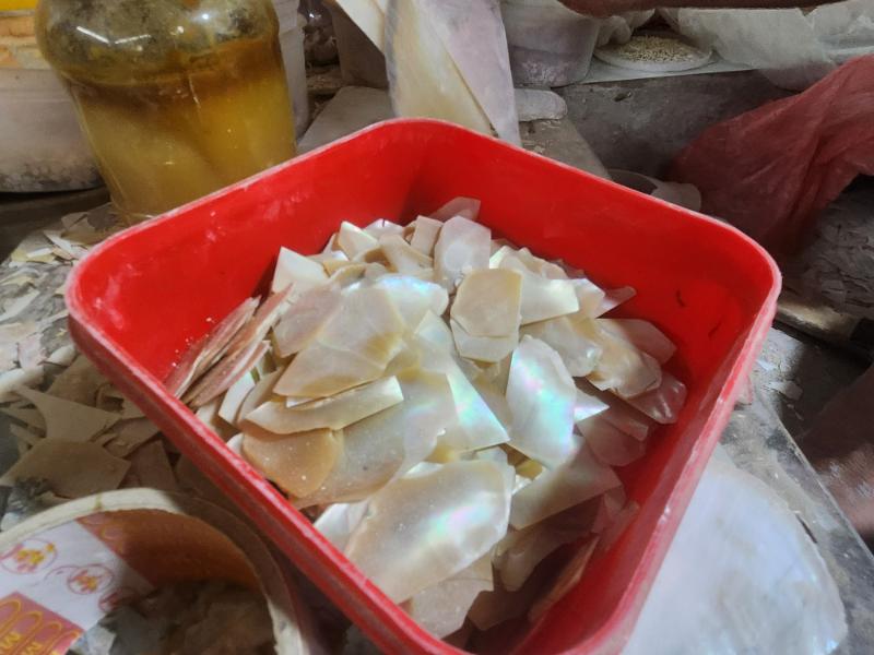 Vỏ trai là nguyên liệu làm nên bức tranh sơn mài độc đáo