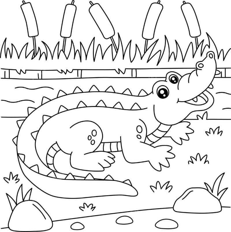 pngtree crocodile coloring page for kids jungle art outlined vector png image 12506308