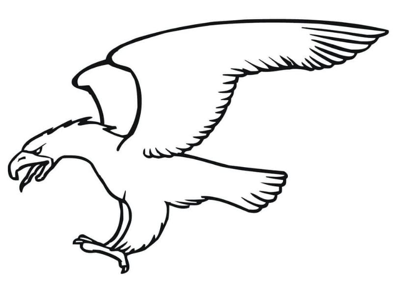 99+ Tranh tô màu chim đại bàng đẹp, dễ in, hợp mọi độ tuổi 8 tranh to mau chim dai bang cat canh