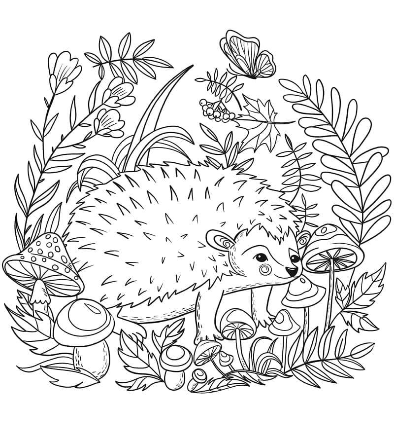 tranh to mau con nhim trong rung 1