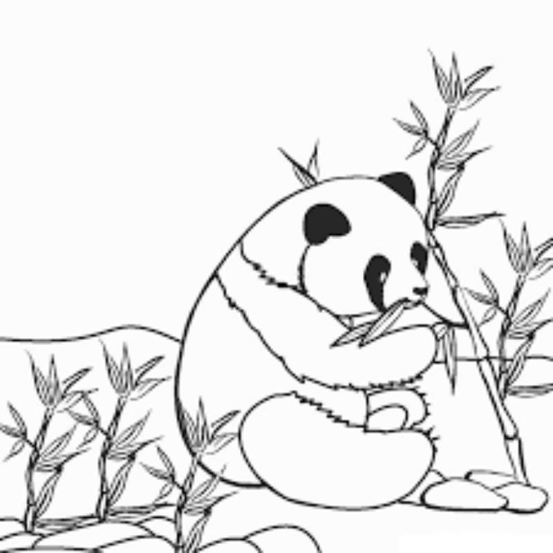 tranh to mau con vat trong rung 3