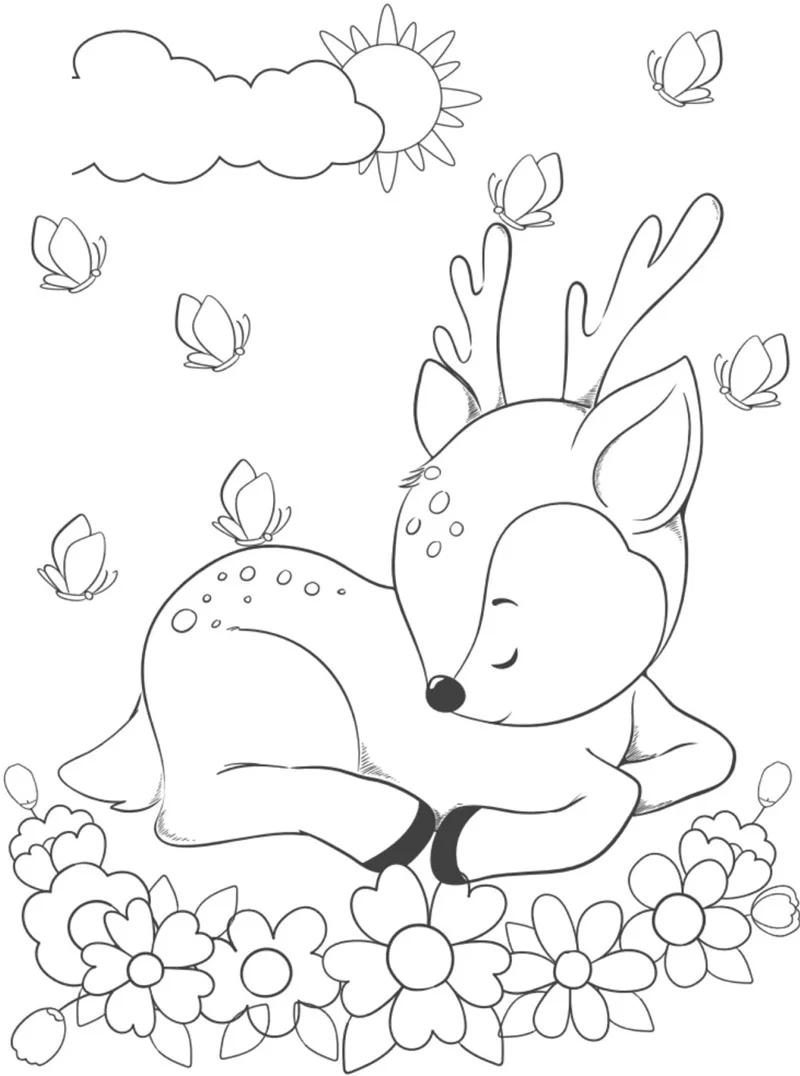 tranh to mau dong vat song trong rung 1