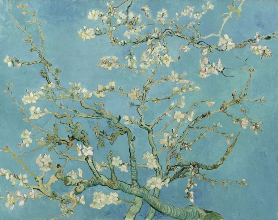 Almond Blossoms (Hoa hạnh nhân - 1890)